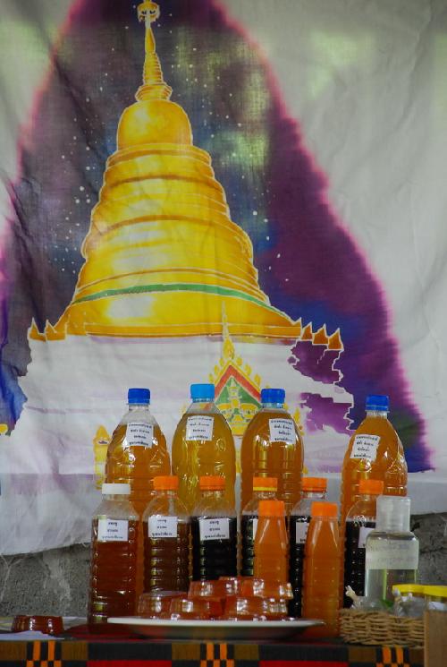 โครงการสัมนาเชิงปฏิบัติการด้านภูมิปัญญาไทยและศิลปกรรมท้องถิ่น ณ โรงเรียนสามเงาวิทยาคม จังหวัดตาก