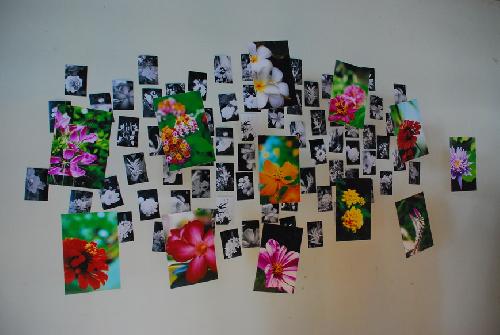 นิทรรศการ Photo-Ex 08