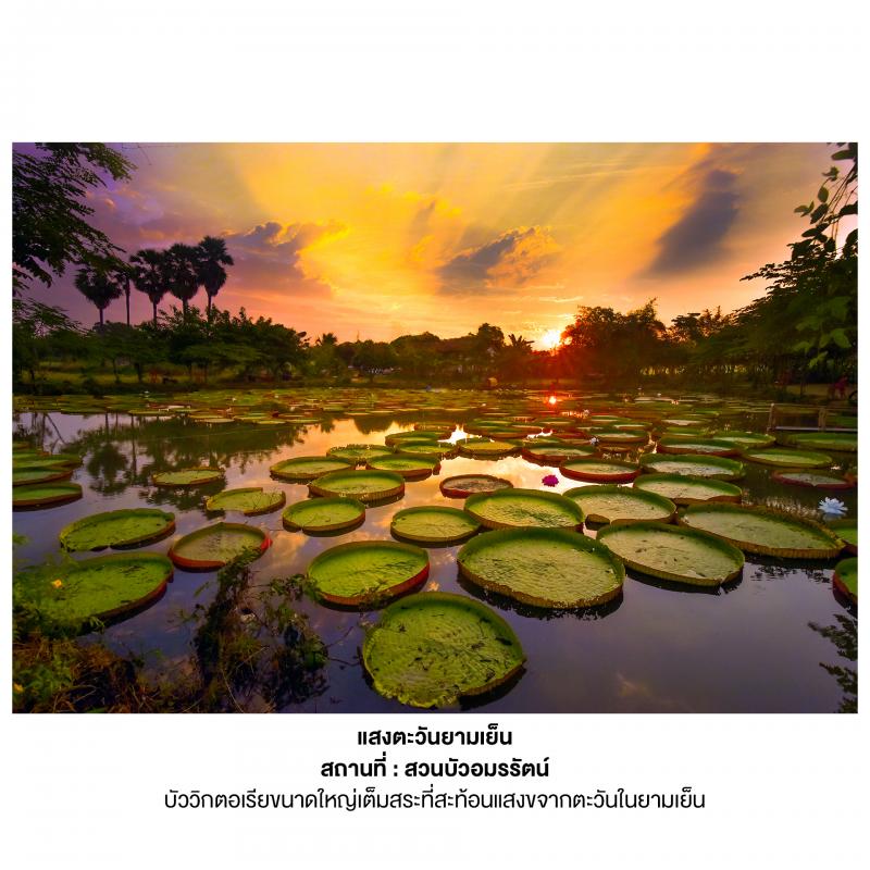   คณาจารย์ร่วมจัดแสดงผลงานภาพถ่าย " โครงการเยาวชนสืบสานงานศิลป์ถิ่นสองแคว พ.ศ. 2567"