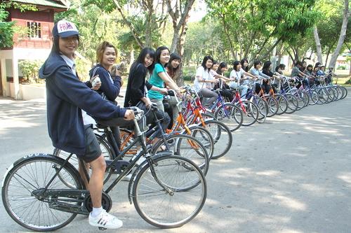 ทัศนศึกษาดูงาน
