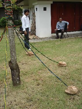 ประติมากรรม ( Sculpture )