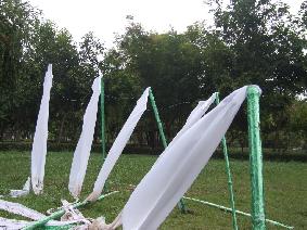 ประติมากรรม ( Sculpture )